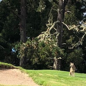 Meet your Posher, Zachary